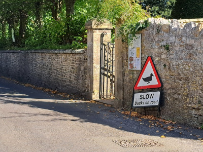 20250925_122956.jpg