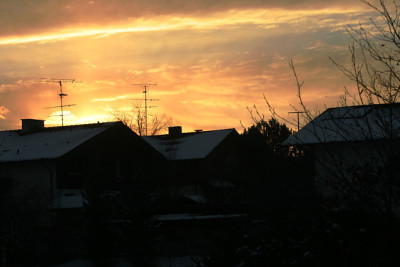 IMG_4582.jpg