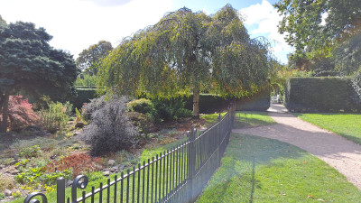 20250922_114820.jpg