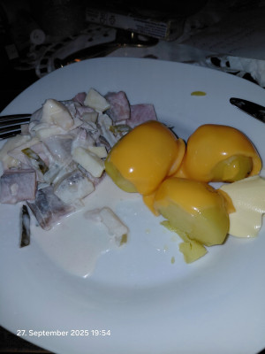 20250927_195444.jpg
