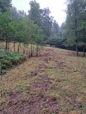 IMG-20250927-WA0006.jpg