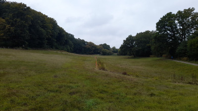 IMG-20250927-WA0015.jpeg