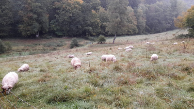 IMG-20250928-WA0003.jpeg