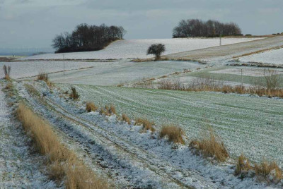 Feldansichten_1_23-11-2008.jpg