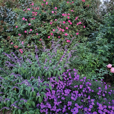 20250930_185438.jpg