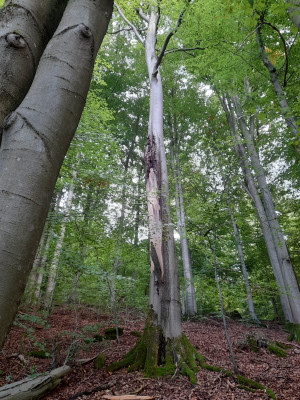 20250930_163518.jpg
