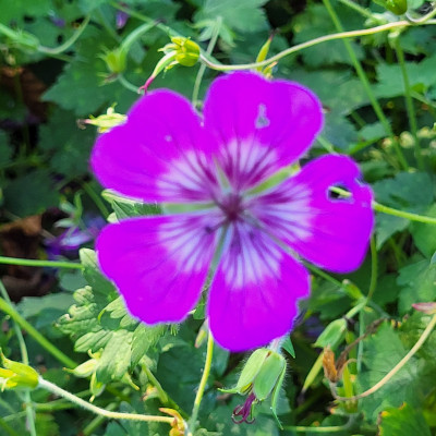 20250925_151846.jpg