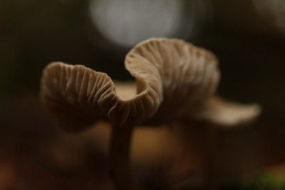 3Q7A0746.JPG