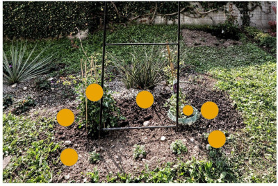 potentilla-planung.jpg