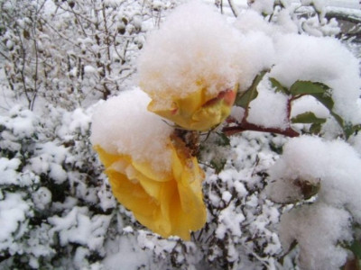 DSCF4935.JPG