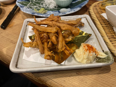IMG_5176.jpeg