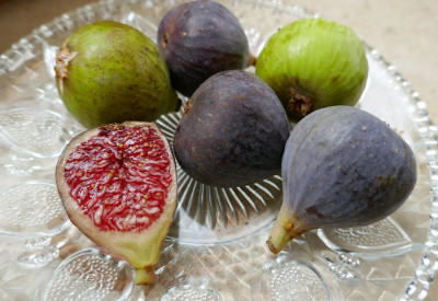 RdC-Antons.jpg