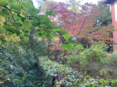 IMG_1717.jpeg