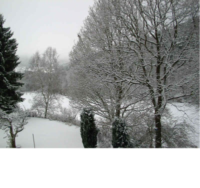 Schnee_25.11.08.jpg