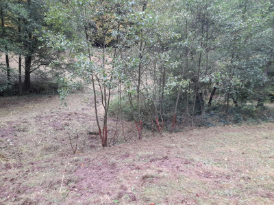 20251006_150930.jpg