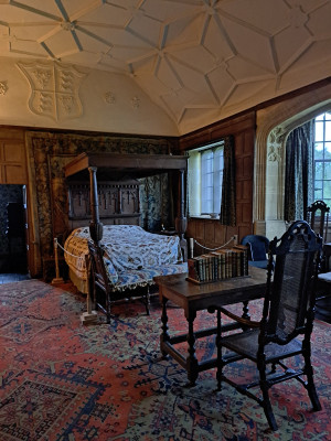 20251002_151337.jpg