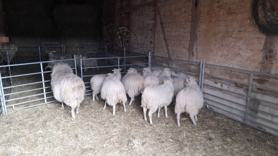 IMG-20251009-WA0015.jpeg