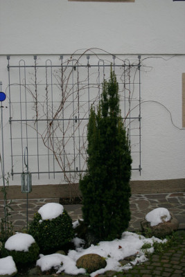 Eiben0208.jpg