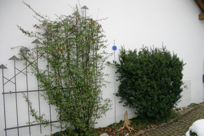 Eiben0308.jpg