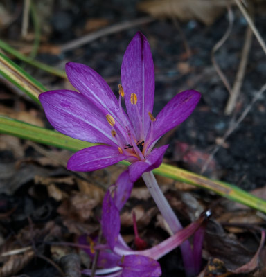 DSC02384_DxO.jpg
