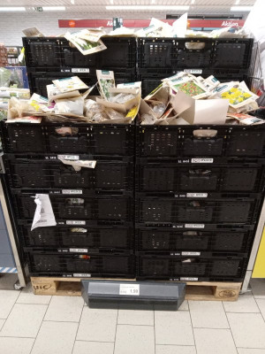 zwiebekn1.jpg