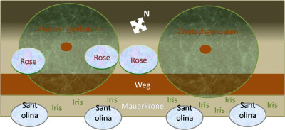 Beet20081128_01.jpg