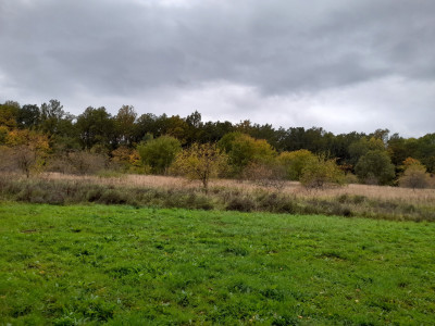 20251010_162242.jpg
