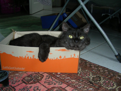 Kater in Merrell DSCN6360.JPG