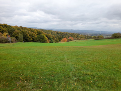 20251010_153029.jpg