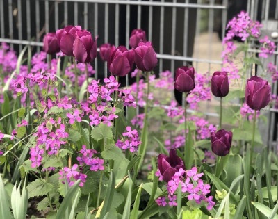 IMG_7951.jpeg