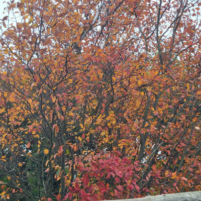 20251012_131345.jpg