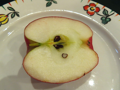 apfel2.JPG