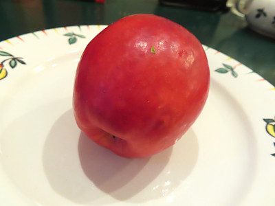 apfel1.JPG
