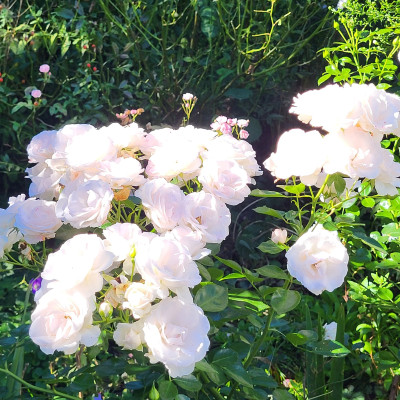 20250928_115916.jpg