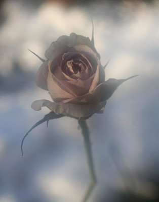 Winter-Magic-08.jpg
