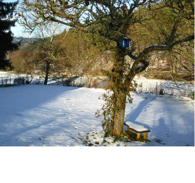 Garten_28.11.08.jpg