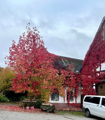 Herbst-Herbst-IMG_2674_1_1.JPG