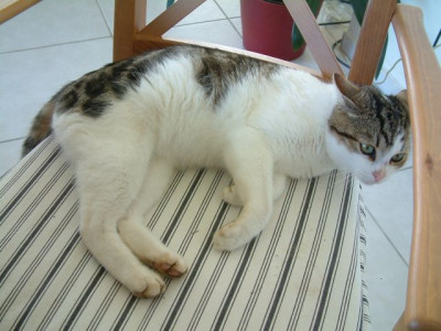 DSCF0003.jpg