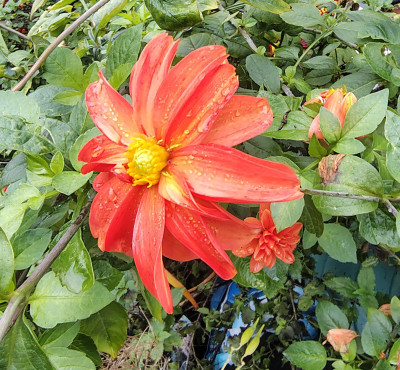 IMG_20251017_110951212_HDR~2.jpg