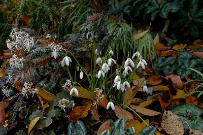 DSC_9702_DxO.jpg