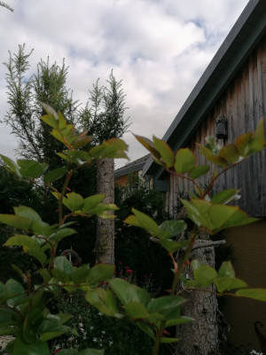 IMG_20251018_104723.jpg