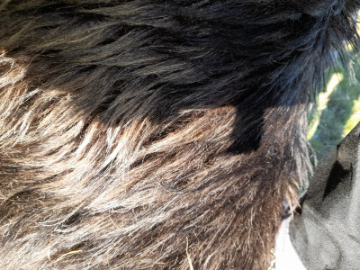 20251018_161849.jpg