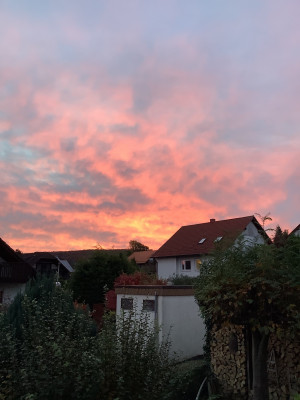 IMG_0675.jpeg