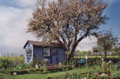 Apfelbaum_Fruhling.jpg