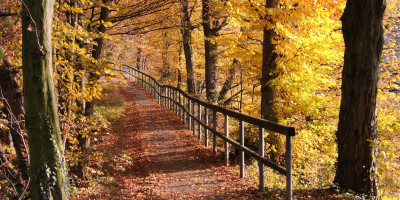 Mönchberg im Herbst.jpg