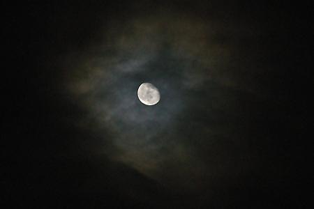 mond_018_.jpg