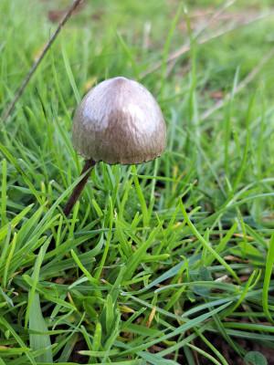 20251005_104828.jpg