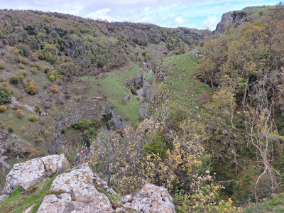 20251005_115822.jpg