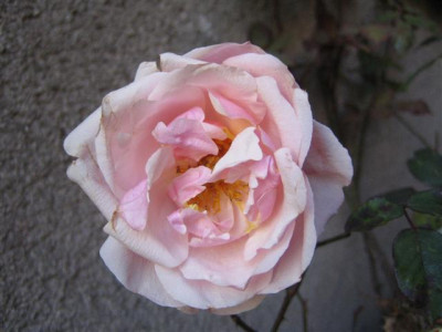 IMG_4344_Small.JPG