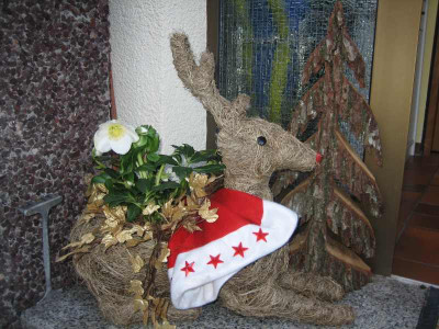 Advent4.jpg